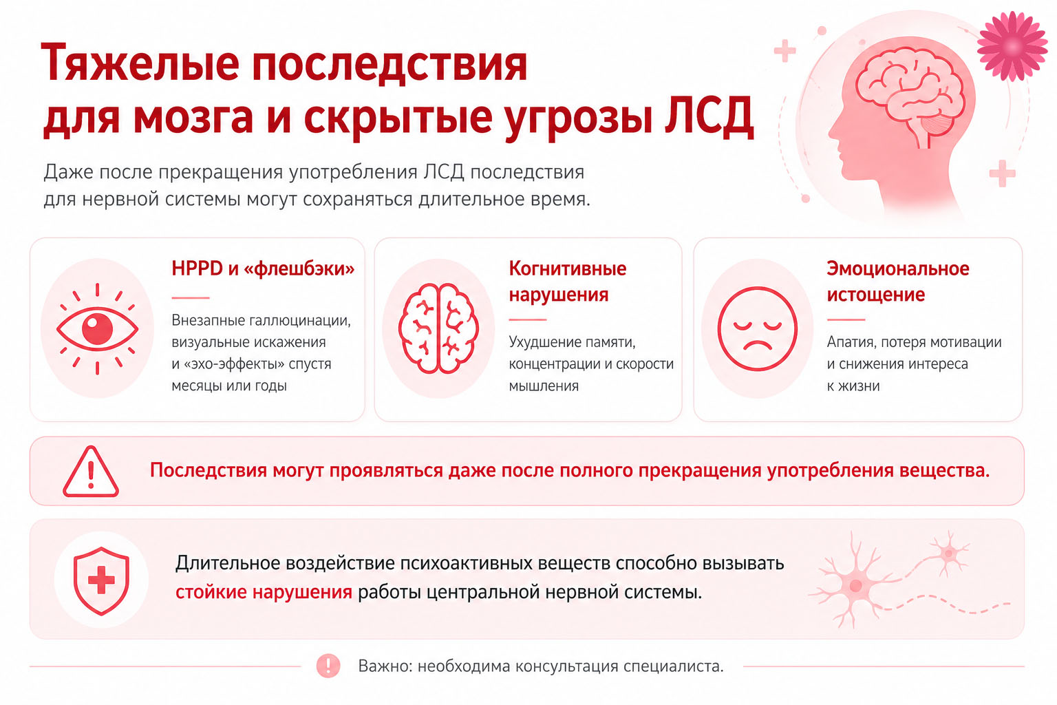Последствия для мозга при употреблении лсд инфографика